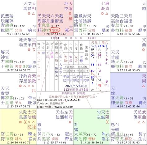 紫微天相命宮|【紫微斗數】14 主星入命宮之能量、特性、重點解析